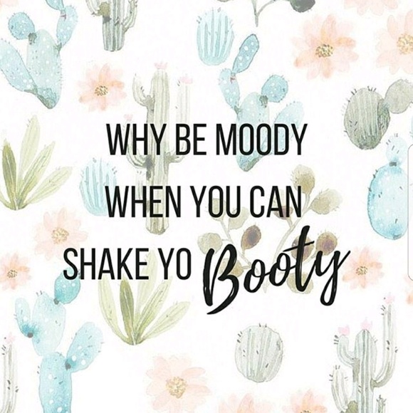 Meet your Posher, Romi - Picture 4 of 4